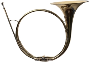 Kontakt Horn